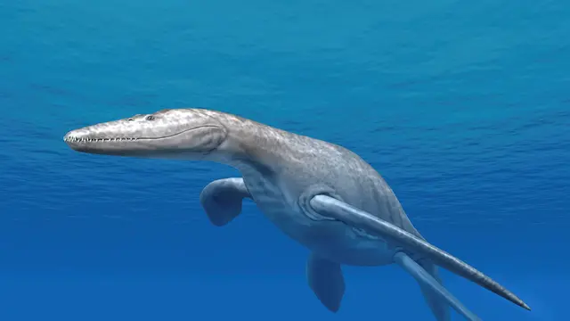Plesiosaurus