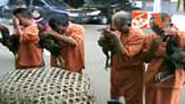 Empat Pejudi Sabung Ayam Ditangkap