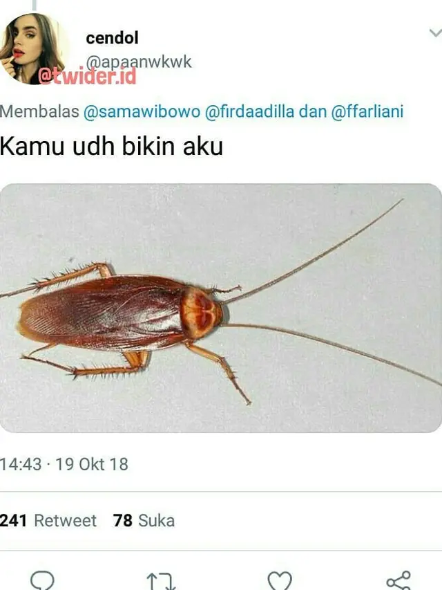 Kejeniusan Warganet Bikin 9 Cuitan Receh Bergambar Ini, Bikin Ngakak Gak Habis PIkir