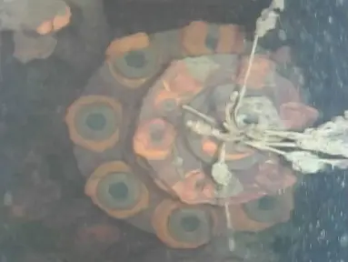 Gambar yang diambil oleh robot bawah laut menunjukkan bebatuan menyerupai lelehan bahan bakar nuklir di pabrik nuklir Fukushima Dai-ichi di kota Okuma, timur laut Jepang, (19/7). (International Research Institute for Nuclear Decommissioning via AP)