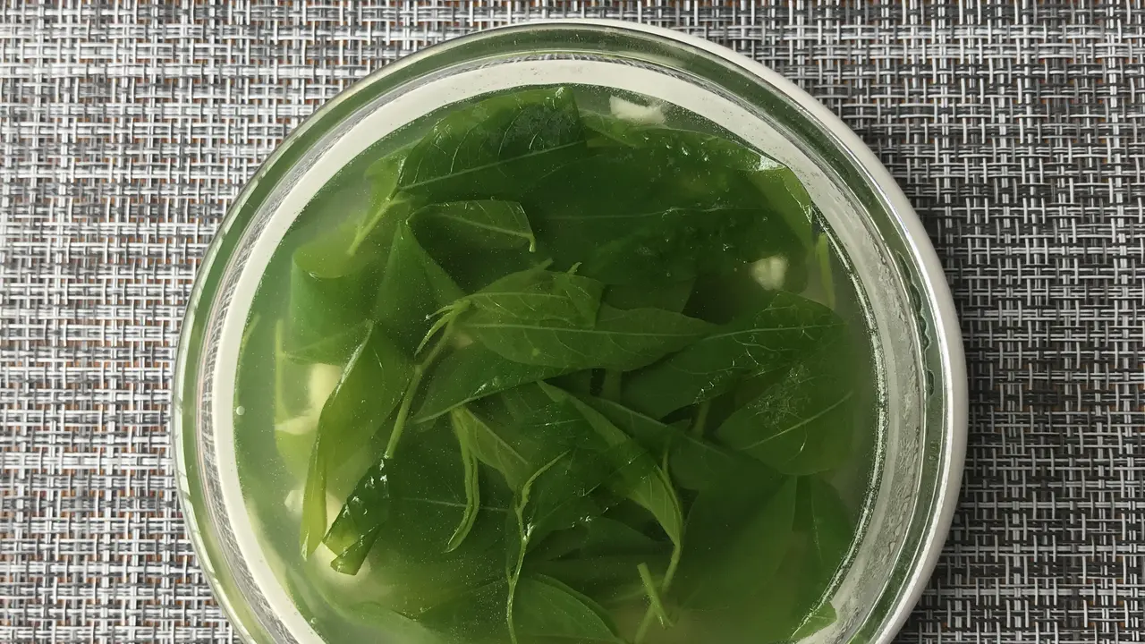 bening daun katuk
