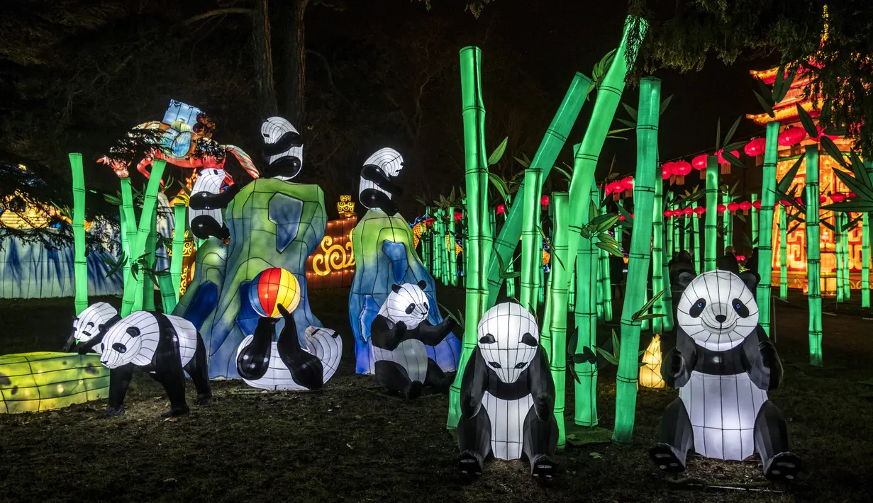 Lentera panda raksasa dipamerkan dalam Festival Lentera Gaillac di Taman Foucaud, Gaillac, Prancis, Rabu (12/12). Festival Lentera Gaillac berlangsung pada 1 Desember 2018 hingga 6 Februari 2019. (ERIC CABANIS/AFP)