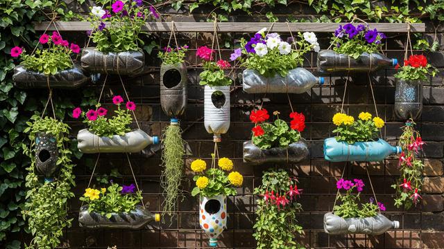 7 Langkah Sederhana Bikin Taman Botol Mini Estetik, Cocok untuk Lahan Terbatas