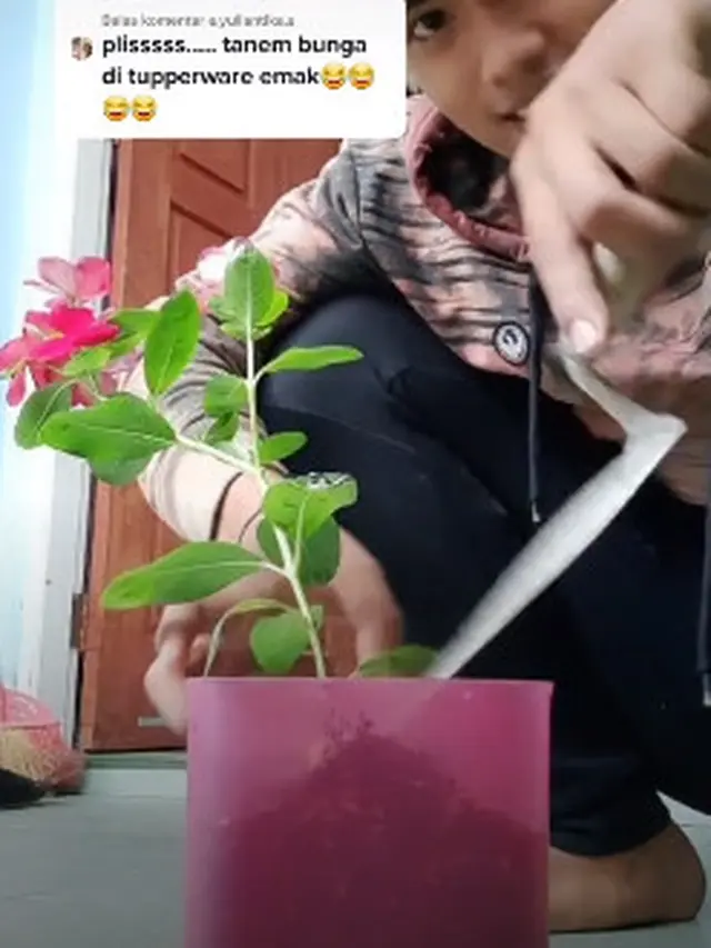 Kocak, Pemuda Ini Nekat Gunakan Tupperware Milik Ibunya Dijadikan Pot Bunga