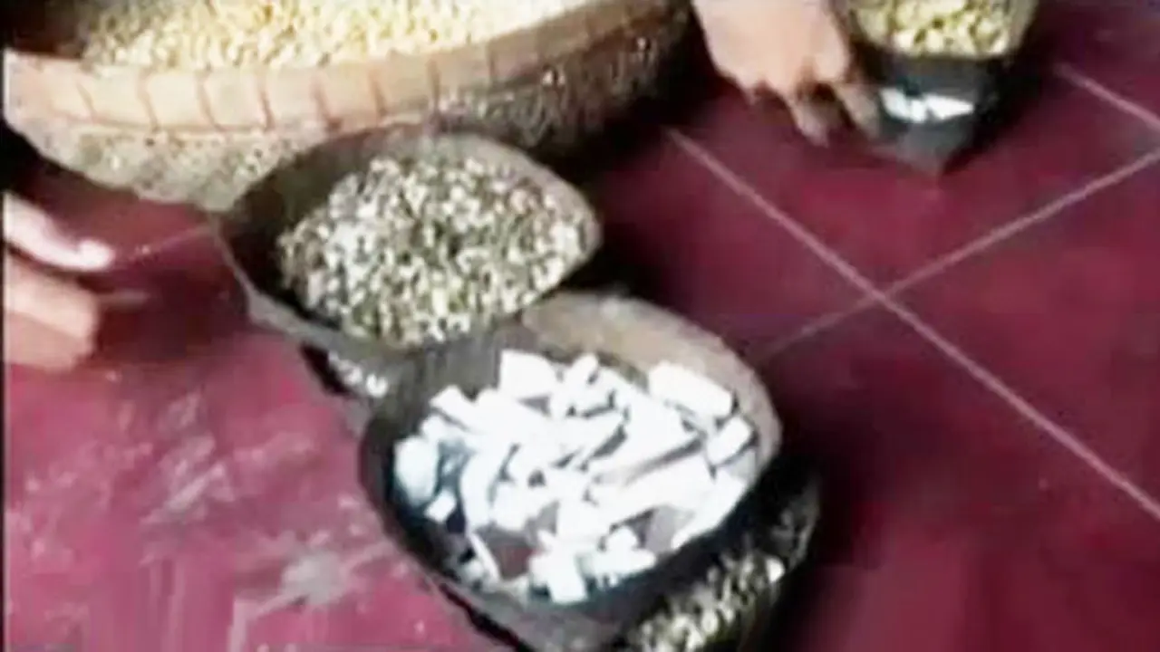 Segmen 7: Nikmatnya Kopi Jagung hingga Museum Mainan di Singapura