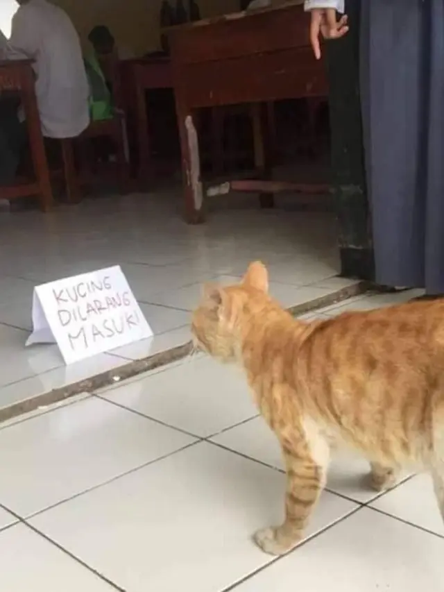 6 Tulisan Hewan Dilarang Masuk Ini Absurd Banget, Kocak