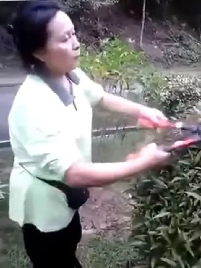 Bikin Mual! Lagi Potong Tanaman, Ibu Ini Makan Bayi Burung Mentah