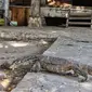 Ada apa di balik mitos-mitos dari Pulau Biawak, Indramayu