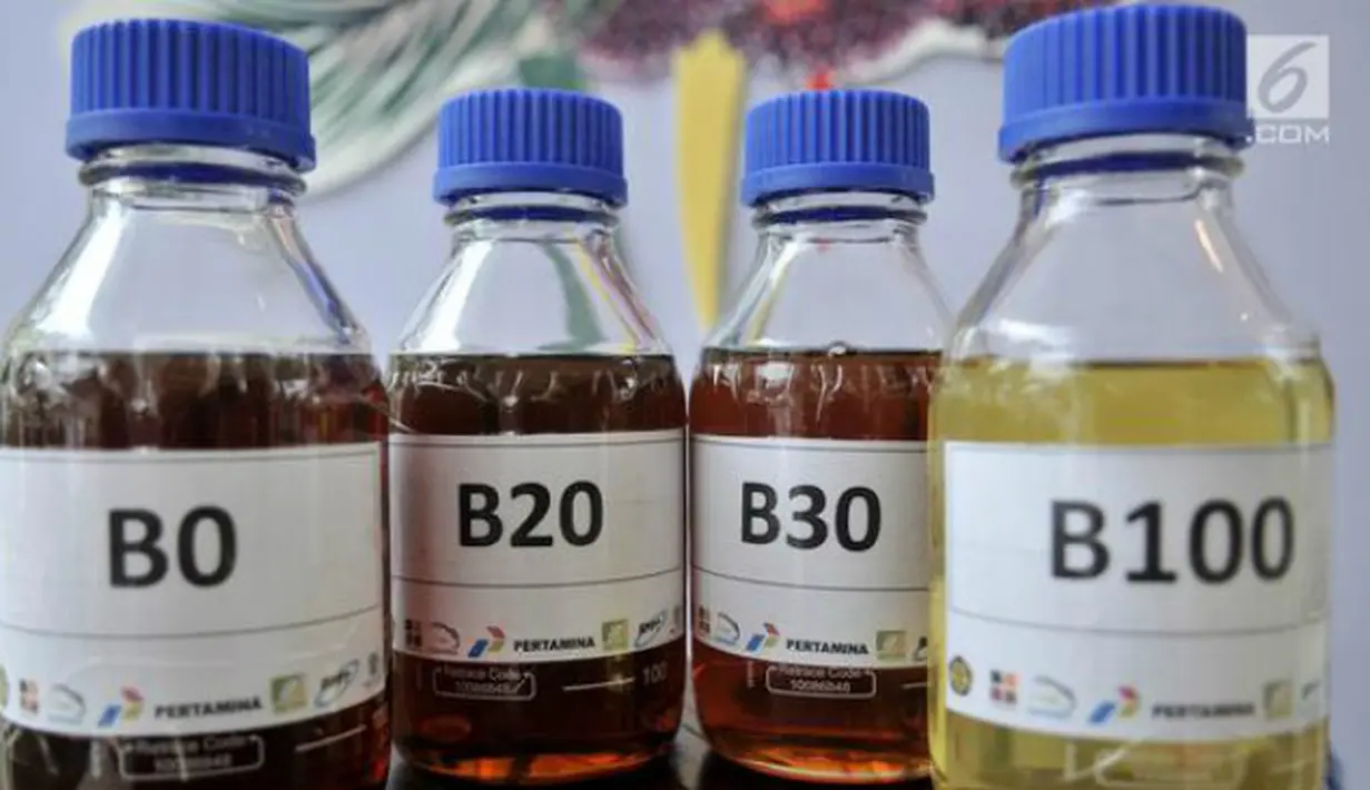 Sampel biodiesel B0, B20, B30, dan B100 dipamerkan saat uji jalan Penggunaan Bahan Bakar B30 untuk kendaraan bermesin diesel di Kementerian ESDM, Jakarta, Kamis (13/6). (merdeka.com/Iqbal S. Nugroho)
