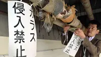 Burung Gagak Liar di Jepang Mau Patuhi Rambu Larangan, Kamu?