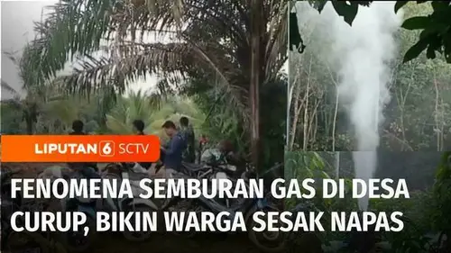 VIDEO: Semburan Gas di Desa Curup, Sumatera Selatan: Bau Tak Sedap Bikin Warga Sesak Napas