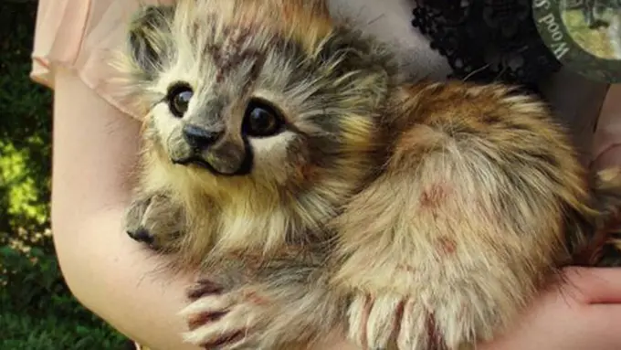 Foto: copyright Boredpanda.com