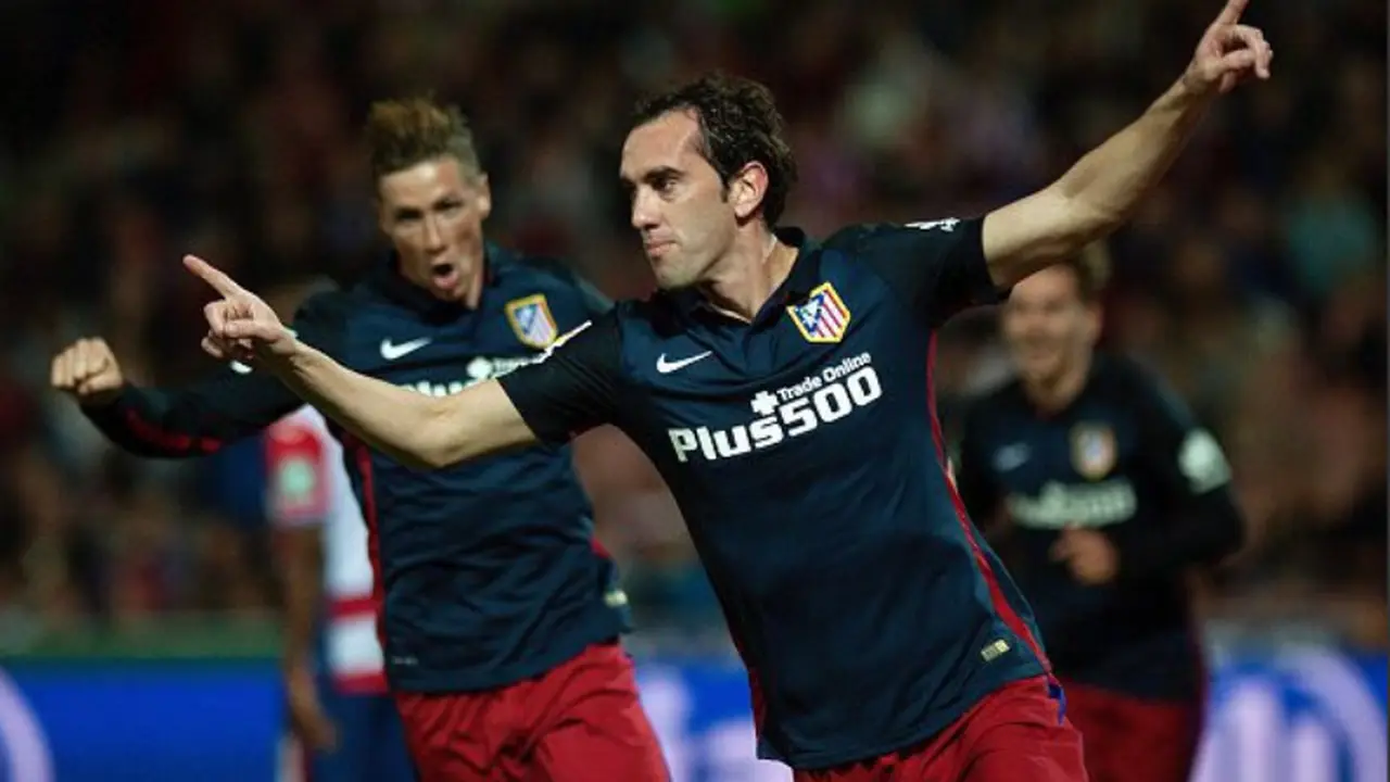 Diego Godin
