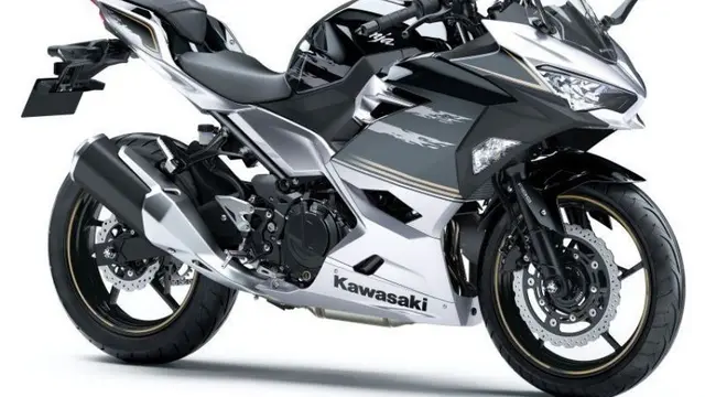 Kawasaki Ninja 250 punya dua warna berbasis silver dan hitam