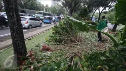 Pekerja membersihkan sampah berserakan di taman yang rusak di depan gedung Balai Kota Jakarta, Jumat (14/10). Taman tersebut rusak akibat banyaknya pengunjuk rasa yang menginjak-injak serta duduk di atas tanaman. Liputan6.com/Immanuel Antonius