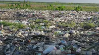 Kondisi bantaran Danau Limboto, Gorontalo yang tercemar sampah plastik rumah tangga (Arfandi Ibrahim/Liputan6.com)