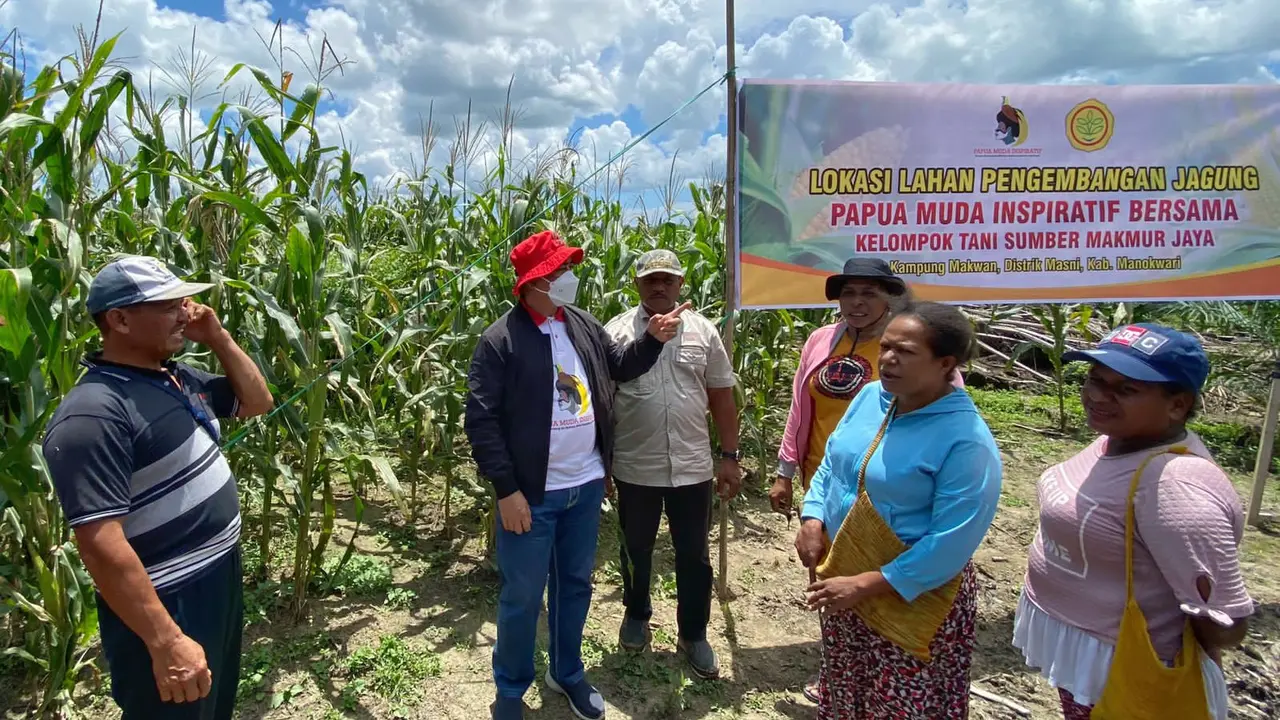 Para petani di Kampung Makwan, Distrik Masni, Kabupaten Manokwari, Papua Barat menyatakan keinginannya untuk terus dibina oleh pemuda yang tergabung dalam Papua Muda Inspirstif (PMI).