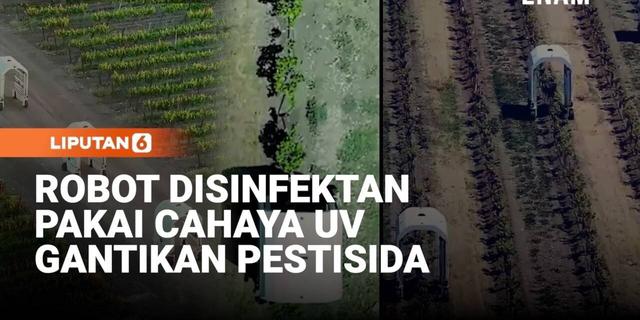 Robot Disinfektan Cahaya UV Gantikan Pestisida Merawat Tanaman