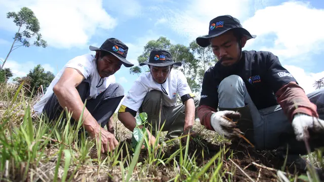 BRI Grow & Green di Samosir