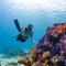 Ilustrasi wisata selam atau diving. (dok. Neom/Unsplash)