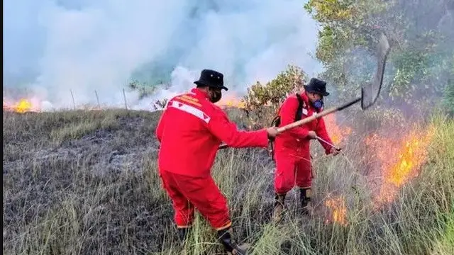 Kebakaran hutan di wilayah Taman Nasional Rawa Aopa, beberapa tahun lalu.