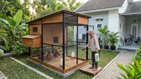 8 Ide Kandang Ayam Anti Bau dan Becek, Tips Menjaga Lantai Tetap Kering Sepanjang Musim