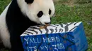 Ketiga panda raksasa di Kebun Binatang Nasional, Xiao Qi Ji, Tian Tian, ​​dan Mei Xiang, merayakan ulang tahun terakhir mereka di Washington, karena mereka diperkirakan akan kembali ke Tiongkok pada 7 Desember 2023.   (AFP/Stefani Reynolds)
