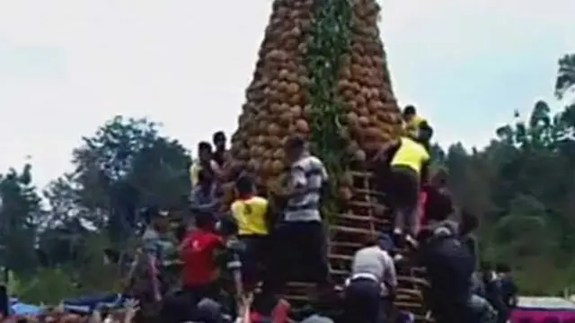 Panen Raya Durian Ricuh