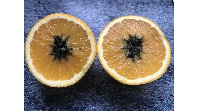 6 Momen Apes saat Mau Makan Buah Ini Bikin Kecewa