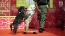 Pertunjukkan Dog Show pada pembukaan event Imlek "Lucky New Year, Lucky You" di Jakarta, Jumat (2/2). Menurut pakar feng shui tahun anjing tanah adalah tahun yang dipenuhi energi yang akan membawa hal-hal baik. (Liputan6.com/Arya Manggala)