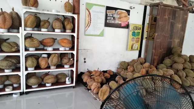 Dams durian Jogja