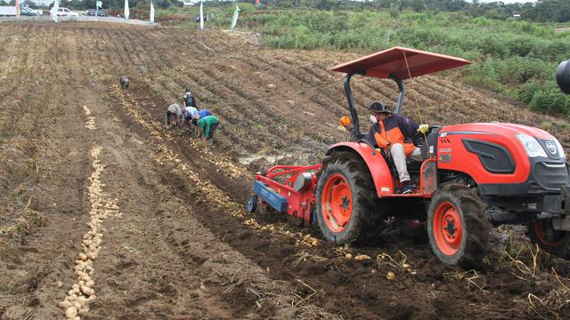 Food Estate Humbahas