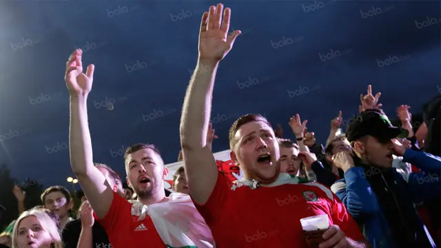 Suporter Wales