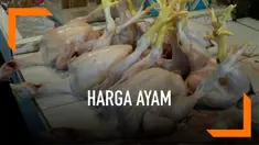 Kenaikan harga bahan pokok mulai terjadi jelang datangnya Bulan Ramadan. Salah satu bahan yang sudah mengalami kenaikan adalah ayam potong.