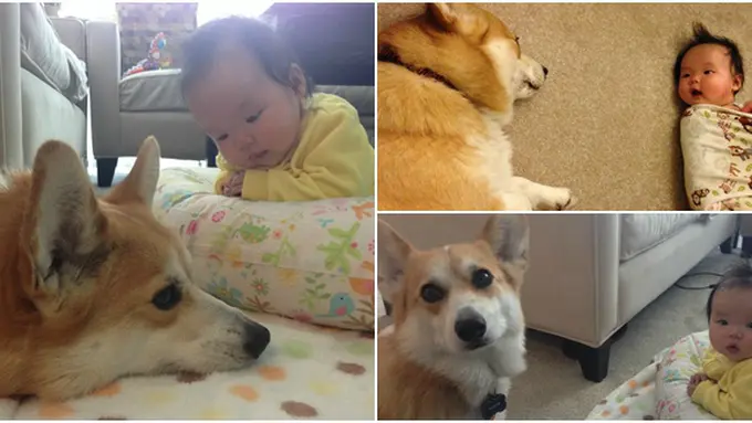 Photo copyright Viralnova.com