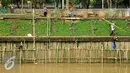Pekerja memasang turap dari bambu sepanjang 600 meter di Bantaran Kali Ciliwung, Jakarta, Jumat (5/8). Pemasangan tersebut untuk menahan dinding tanah yang kerap longsor. (Liputan6.com/Gempur M Surya)