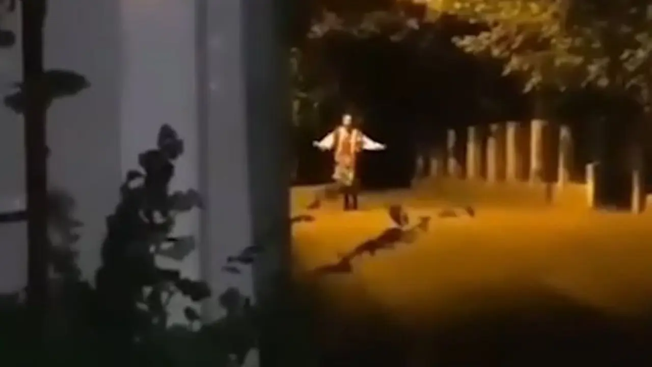 Dancing Lady Serbia