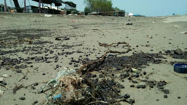 Tumpahan Minyak di Pesisir Utara Karawang