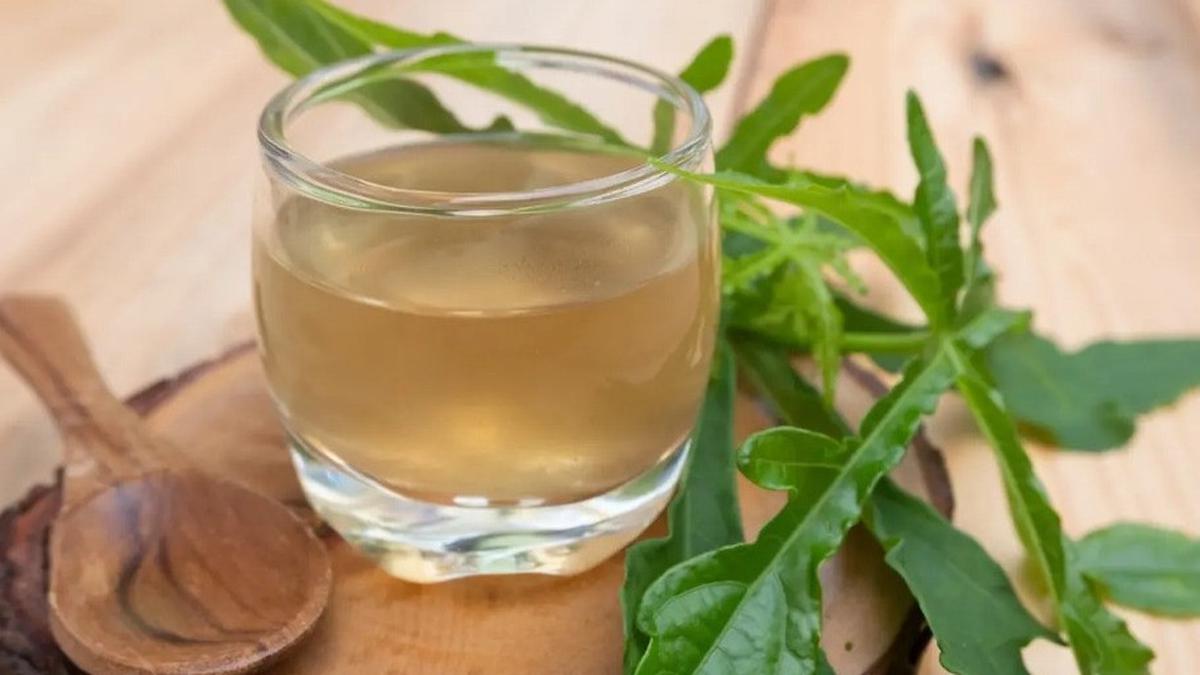 20 Khasiat Daun Pepaya, Solusi Alami untuk Tubuh Sehat dan Kulit Cantik
