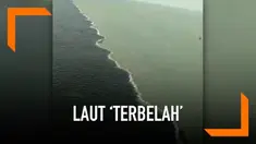 Fenomena air laut terbelah menjadi dua warna terjadi di Selat Madura atau lebih tepatnya di bawah Jembatan Nasional Surabaya-Madura. Sontak fenomena alam ini membuat ramai warganet di jagad maya.
