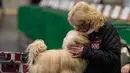 Seorang wanita mencium anjing Lhasa Apso-nya sebelum tampil pada hari kedua pertunjukan anjing Crufts di National Exhibition Centre di Birmingham, Inggris tengah, (9/3). (AFP Photo/Oli Scarff)