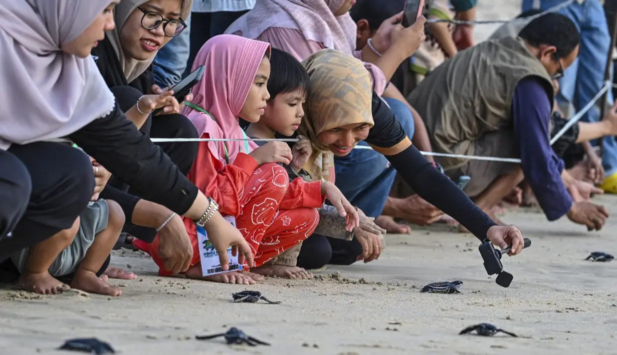 Pelepasliaran sebanyak 69 ekor tukik itu merupakan yang pertama di tahun 2024 dengan melibatkan pengunjung, termasuk anak-anak. (CHAIDEER MAHYUDDIN/AFP)