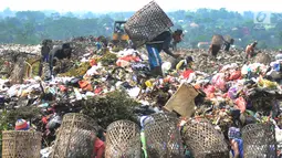 Warga bersama-sama mencari sampah plastik  yang akan dijual sebagai bahan daur ulang di  Tempat Pembuangan Akhir (TPA) Galuga, Bogor (20/5). Indonesia memproduksi sampah plastik sebanyak 175.000 ton per hari.  (Merdeka.com/Arie Basuki)