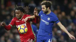 Gelandang Swansea, Renato Sanches, berebut bola dengan gelandang Chelsea, Cesc Fabregas, pada laga Premier League di Stadion Stamford Bridge, London, Rabu (29/11/2017). Chelsea menang 1-0 atas Swansea. (AFP/Ian Kington)