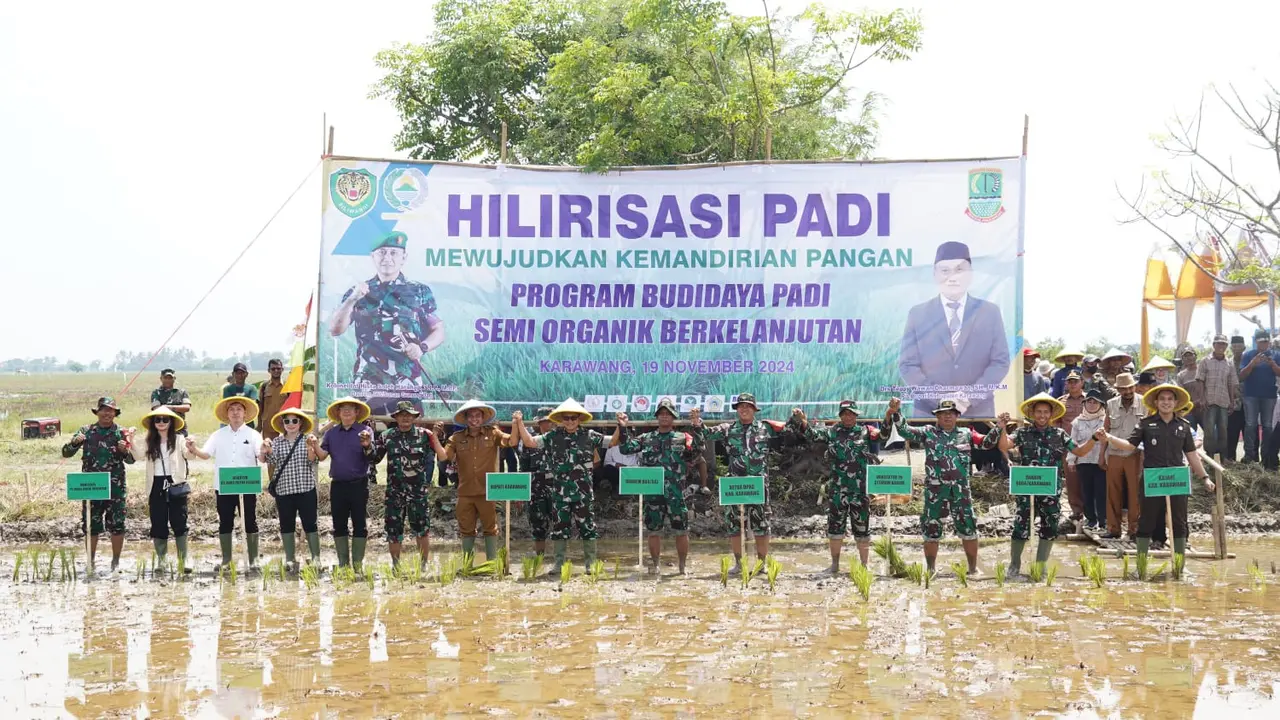Menggandeng Korem 063 Sunan Gunung Jati, PT Juara Karya Indonesia (Persero), melakukan tanam perdana padi di lahan seluas 500 hektare di Desa Solokan, Kecamatan Pakisjaya, Kabupaten Karawang. (Liputan6.com/Jayadi Supriadin)