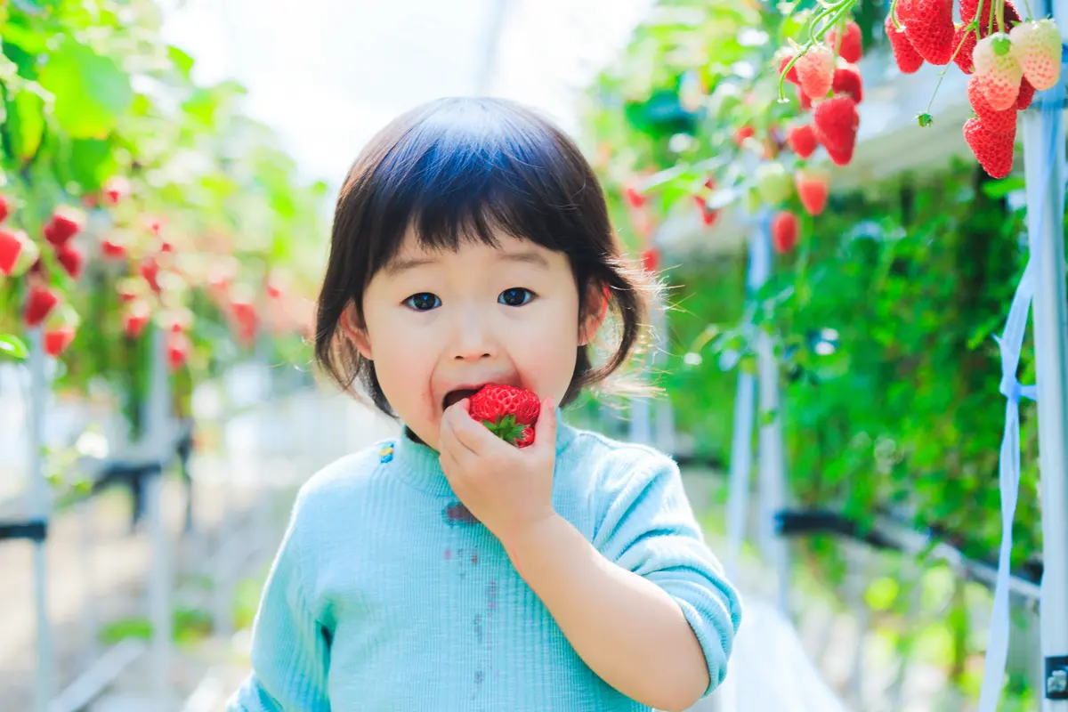 anak makan buah