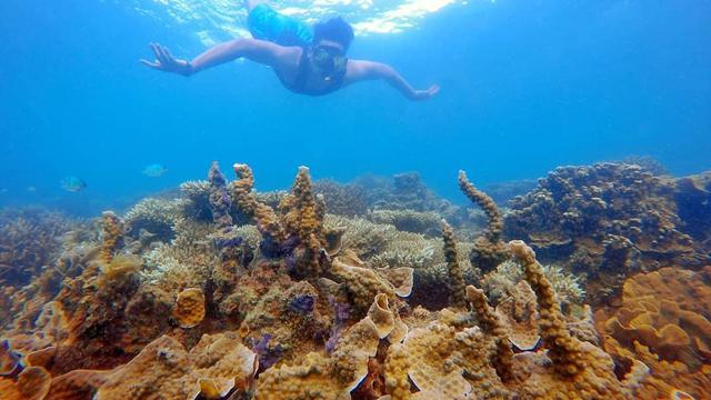 Pulau Kelapan