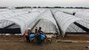 Saat ini, produksi garam dengan sistem tunel tengah dikembangkan oleh Koperasi Produsen Kristal Laut Nusantara di atas lahan tambak seluas 12 hektar. (Aditya Irawan/AFP)