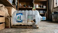 Cara Buat Perangkap Tikus dari Galon: Solusi Sederhana, Murah, dan Efektif di Rumah