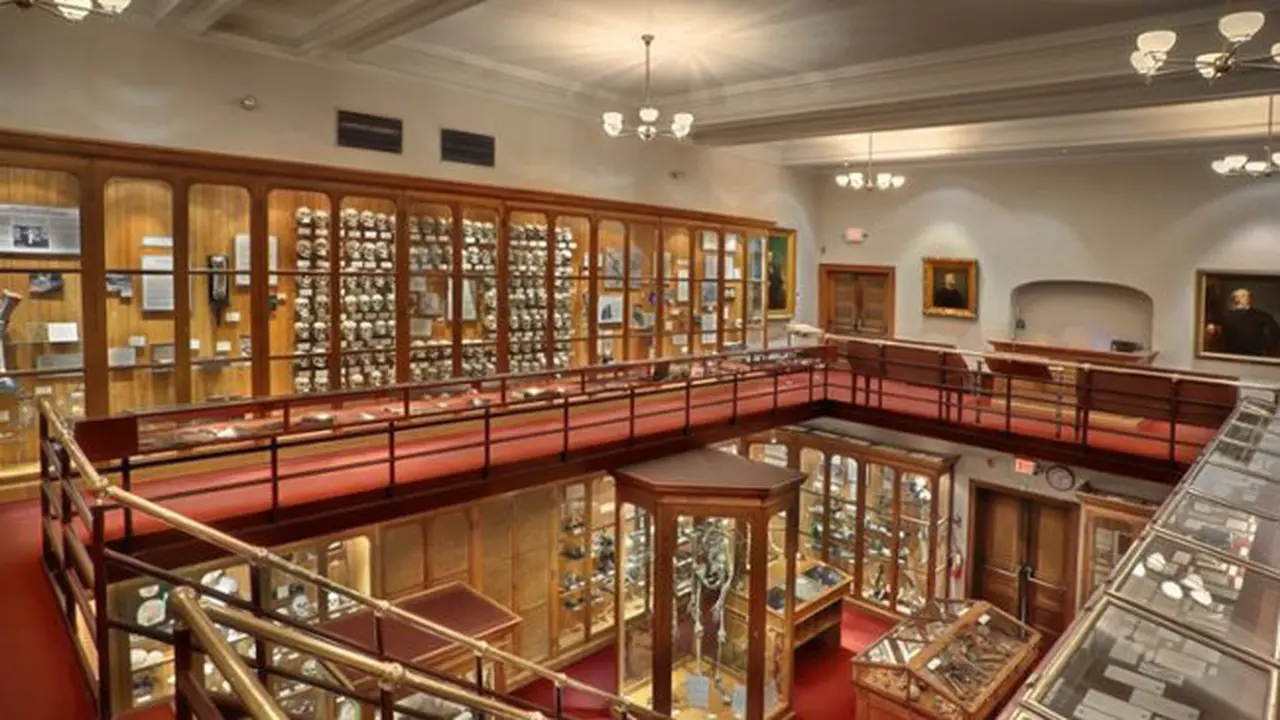 Museum Mutter di Philadelpia